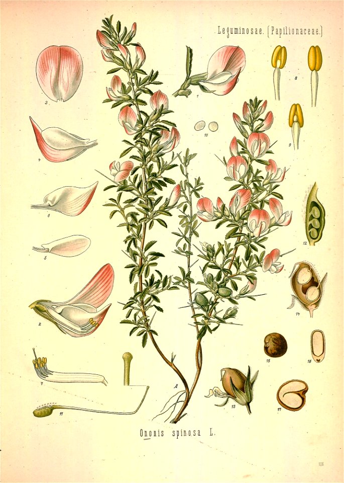 n596_w1150