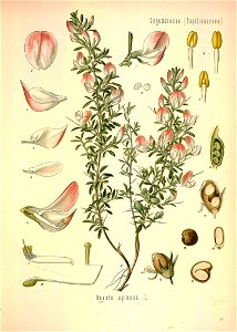 n596_w1150