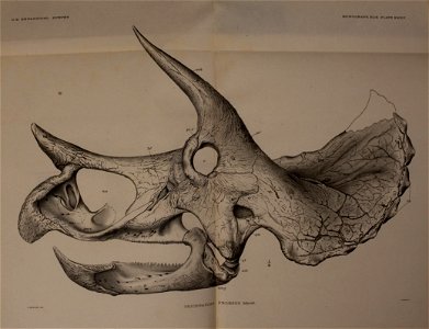 n404_w1150
