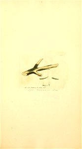 n900_w1150