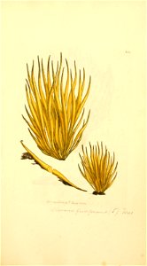 n576_w1150