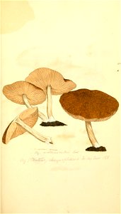 n456_w1150