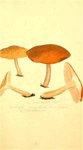 n396_w1150