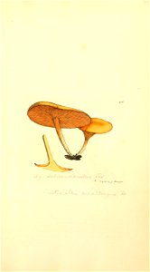 n1046_w1150