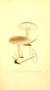 n190_w1150