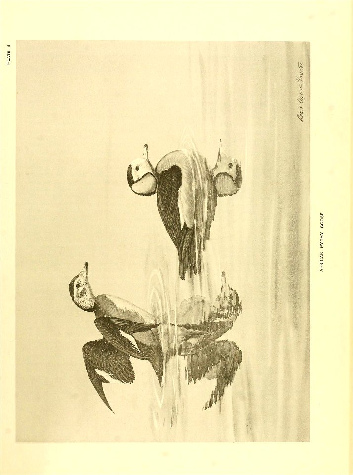 n154_w1150