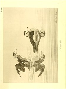 n154_w1150