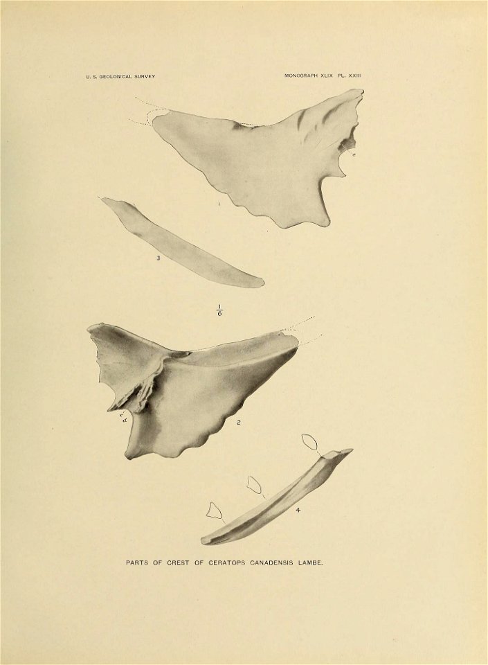 n338_w1150