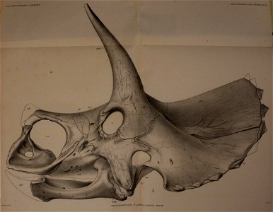 n456_w1150