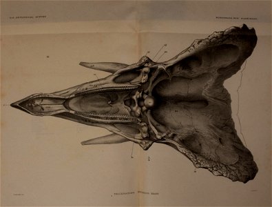 n418_w1150