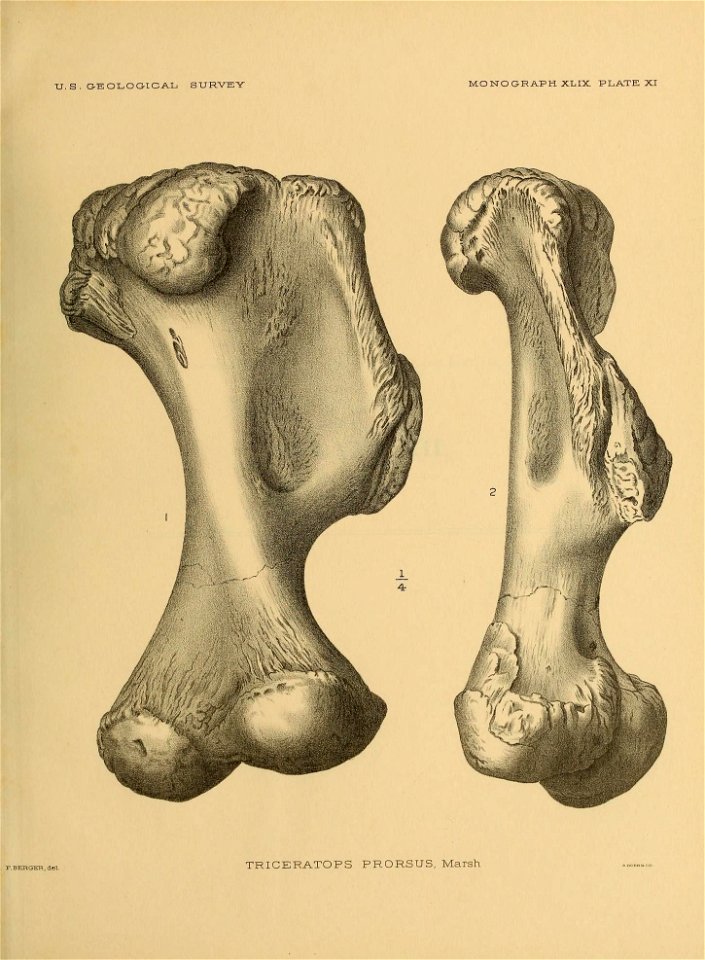 n282_w1150