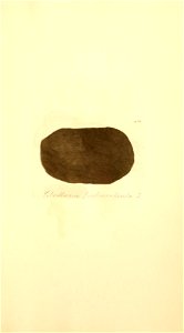 n1082_w1150