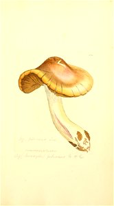 n1048_w1150
