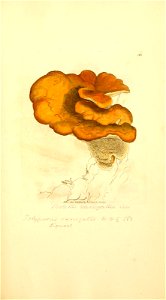 n958_w1150