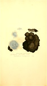 n898_w1150