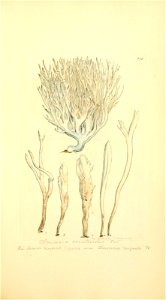 n778_w1150