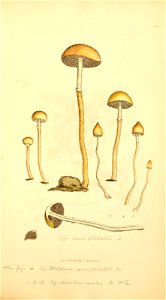 n718_w1150