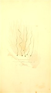 n574_w1150