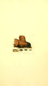n544_w1150