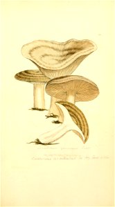 n514_w1150