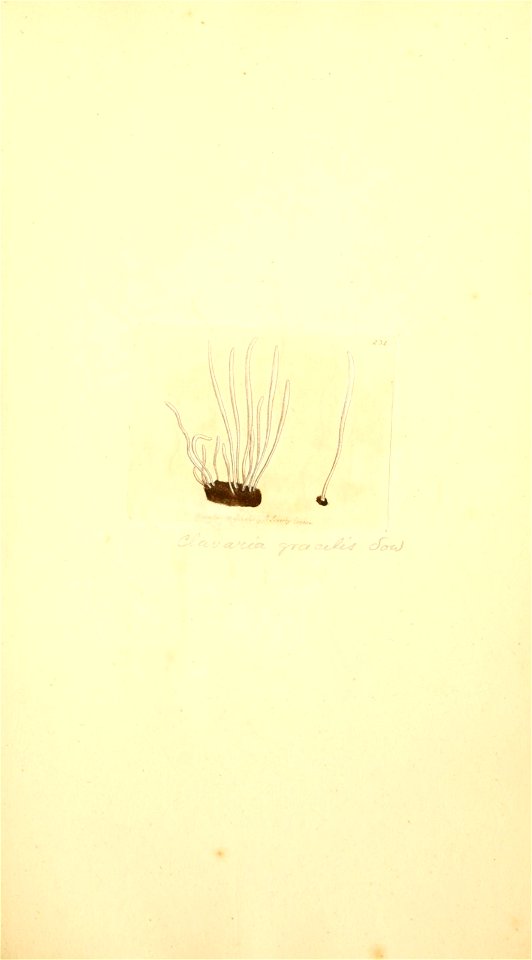 n572_w1150