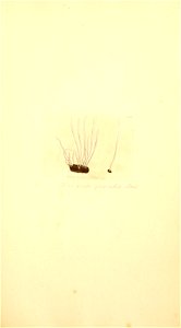 n572_w1150