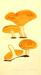 n512_w1150
