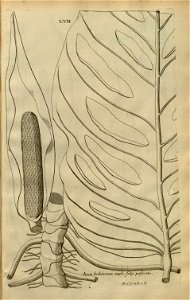 n166_w1150