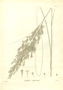 n225_w1150