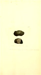 n1070_w1150