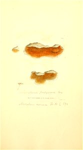 n920_w1150