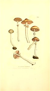 n1038_w1150