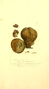 n1068_w1150