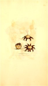 n1024_w1150