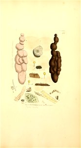n1022_w1150