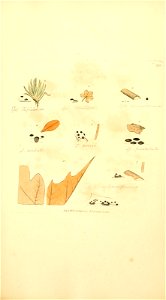 n962_w1150