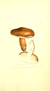 n1052_w1150