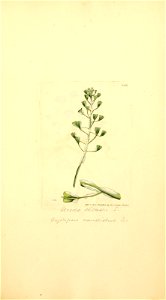 n902_w1150
