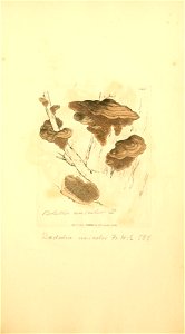 n872_w1150