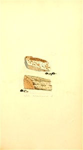 n812_w1150