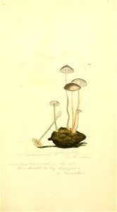 n518_w1150