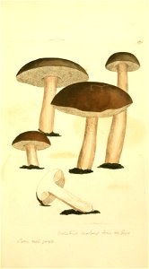 n458_w1150