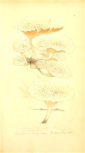 n194_w1150