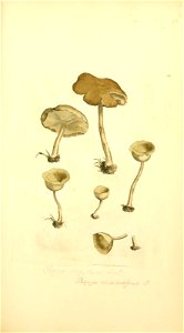 n134_w1150