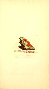 n104_w1150