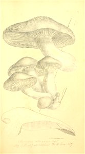 n192_w1150
