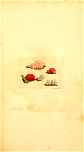 n162_w1150