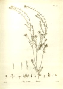 n241_w1150