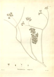 n211_w1150