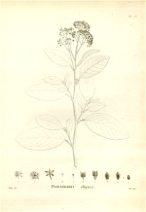 n196_w1150